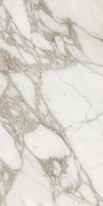 Купить Rex Ceramiche I Bianchi di Rex Calacatta Nat 60x120 