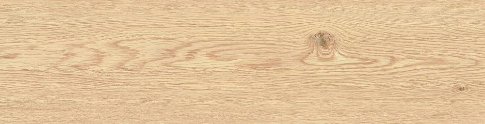 Купить Halcon Atlantis Beige Porc. 24х88 