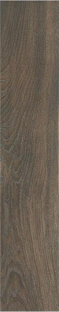 Купить Stylnul (STN) Articwood Mocha Rect 22,7x119,5 