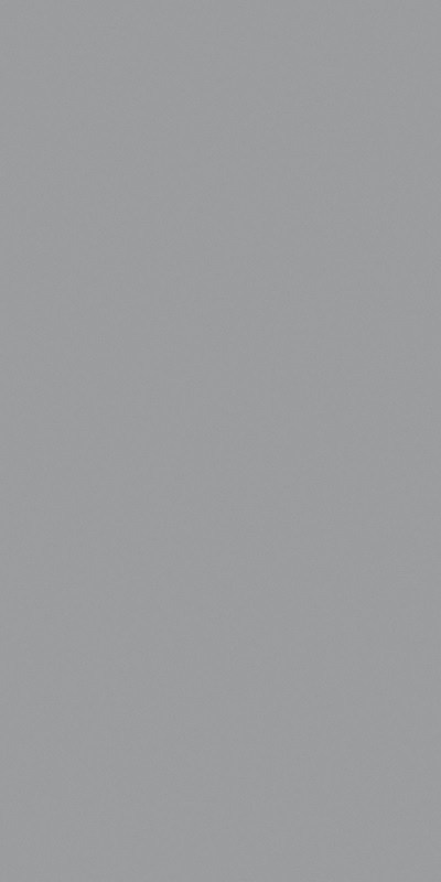 Купить Ceracasa Croma Grey 49,1x98,2 