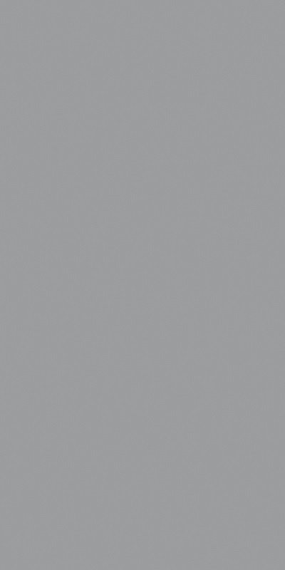 Купить Ceracasa Croma Grey 49,1x98,2 