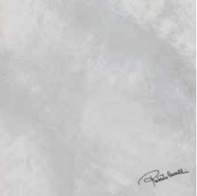 Купить Roberto Cavalli Bright Pearl Snow Firma Rett 80х80 