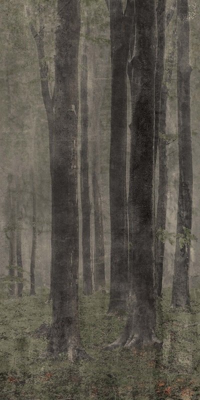 Купить Wide&Style Woods 120x278 