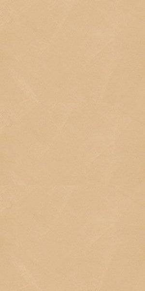 Купить Sant' Agostino Insideart Color Sunset 60х120 