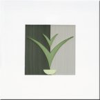 Купить Bardelli Evergreen 104 20x20 