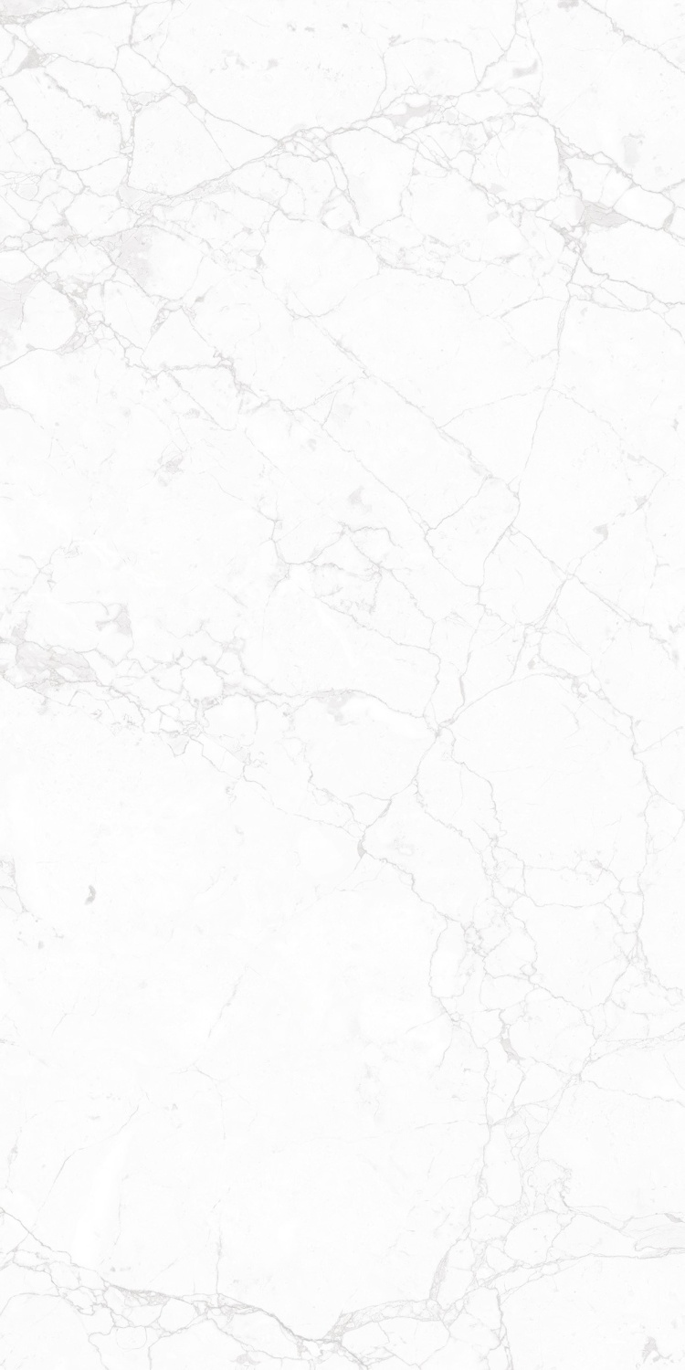 Купить NT Ceramic Marmo Impero Carving  60×120 