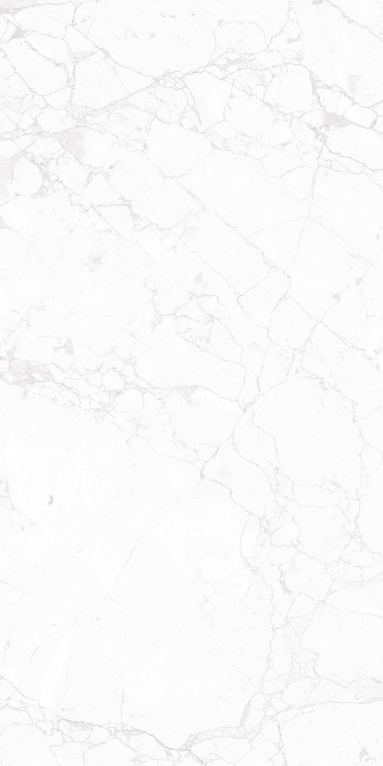 Купить NT Ceramic Marmo Impero Carving  60×120 
