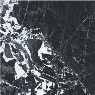 Купить Roberto Cavalli The Wild Spirit Marble Effect-Noir Antique LX RT 119,2x119,2 
