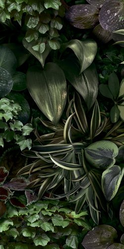 Купить 41zero42 Paper Pro Jane B 50x100 