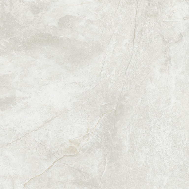 Купить Porcelanite Dos Tamesis White Nat Ret 100x100 