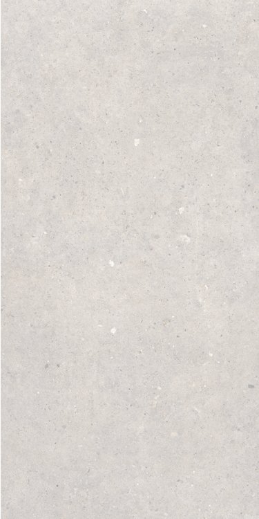 Купить Sanchis Cement Stone White Lapp  60×120 