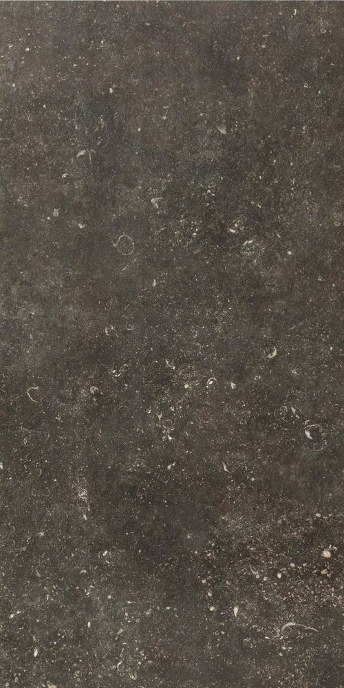Купить Rex Atmospheres De Rex Desir 60x120 