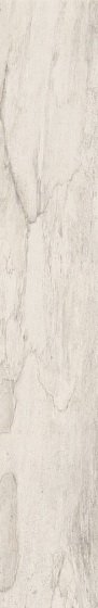 Купить Emil Ceramica Petrified Tree White Bark 15х90 