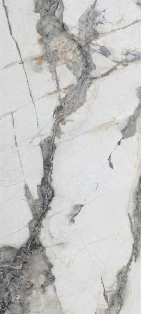 Купить Neodom Titanium Renoir Polished 120x280 
