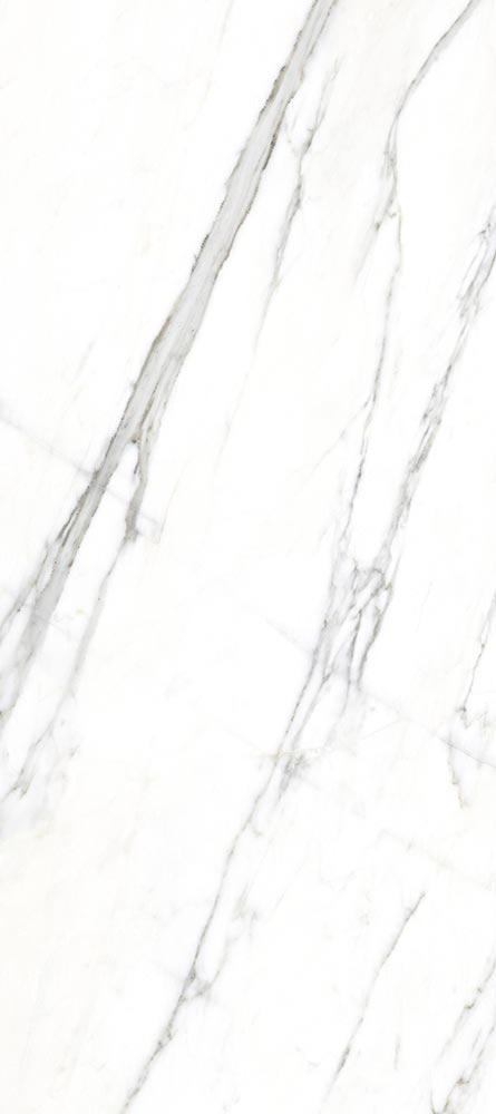 Купить Vives Marblelous Verbier-R Pulido 79,3x179,3 