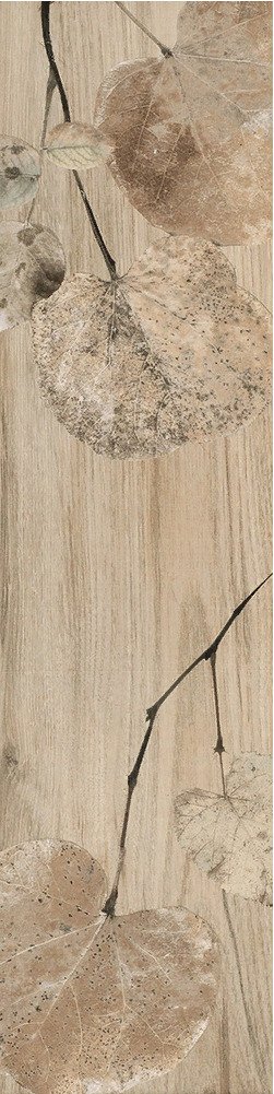 Купить Del Conca Fi Foreste D'italia Foliage Beige 20х80 
