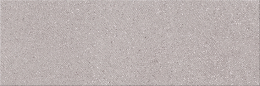 Купить Eletto Ceramica Odense Grey 24,2x70 