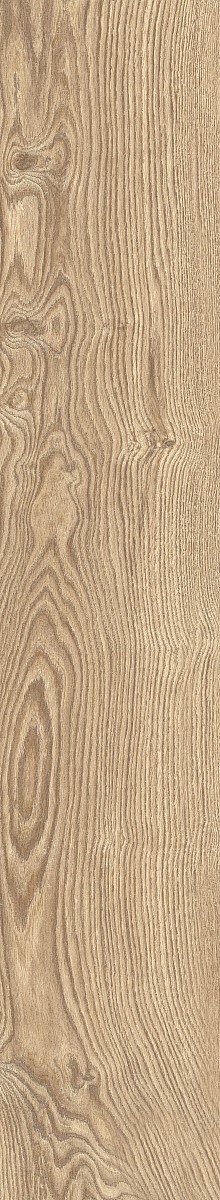 Купить Fanal Forest Honey Slim Rec  22×120 S22A02