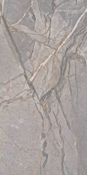Купить Cercom Amaranto Grey Mat Rett  60×120 