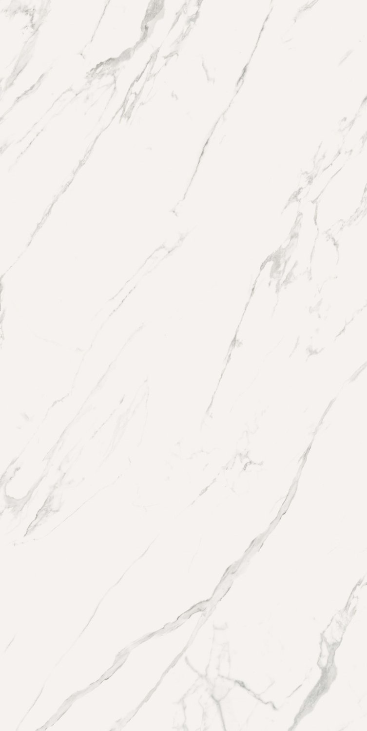 Купить Casalgrande Marmoker Statuario Grigio Lucido 120x278 