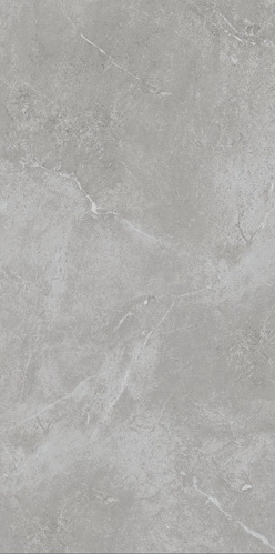 Купить Monocibec Charisma Trend 60х120 