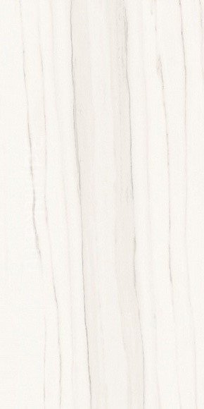 Купить Ariostea Marmi Classici Zebrino Bianco Soft 60х120 