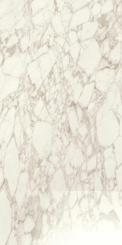Купить Arabescato Glossy Rett 120x240 