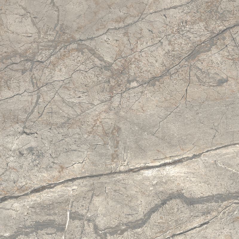 Купить Caesar Anima Futura Amazing Silver 60x60 