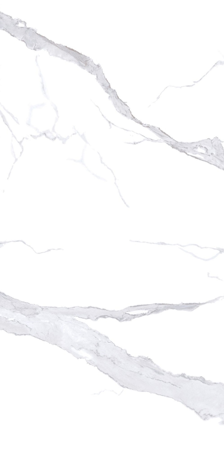 Купить NT Ceramic Atlas Wide Bianco Statuario  120×240 