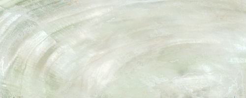 Купить Roberto Cavalli Bright Pearl Ivory Rett 80x180 