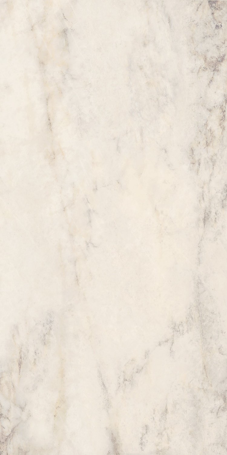 Купить Tagina Patagonia Bianco Nat Ret 9mm 60x120 