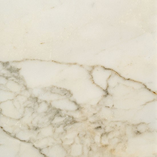 Купить Fioranese Prestige Borghini Matt 74x74 