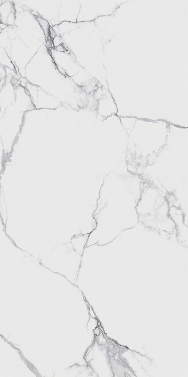 Купить Infinity Belmondo Bianco Polished 60x120 