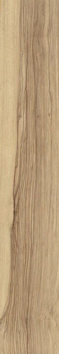 Купить Fioranese Sfrido Frake Naturale 20х120 
