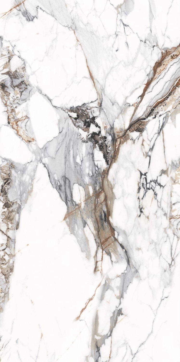 Купить NT Ceramic Atlas Wide Breccia Capria  120×240 