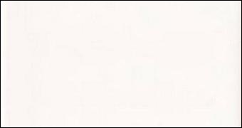 Купить Fabresa Blanco 10х20 