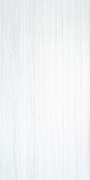 Купить Stylnul (STN) Derby White Rett 60x120 