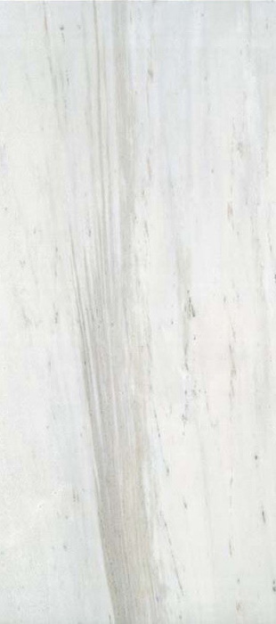 Купить Rex Ceramiche I Bianchi di Rex Palissandro Luc Ret 80x180 