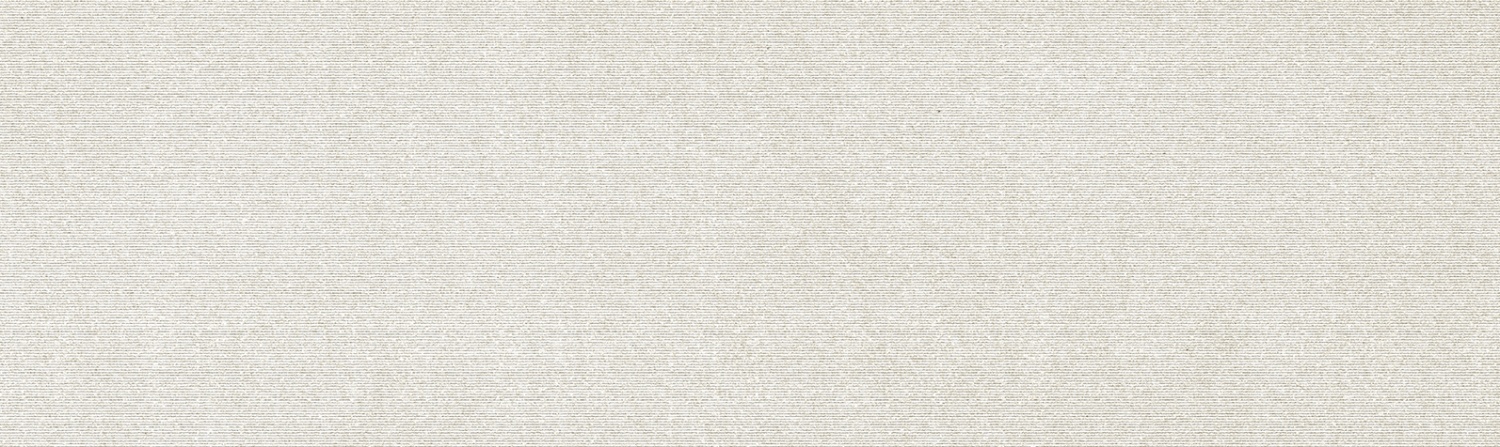 Купить Ibero Elevation White Rect. BIS B 100 29х100 