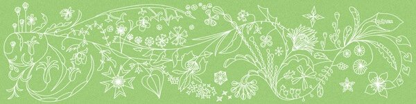 Купить Bardelli Primavera Colore Platinum B8 10x40 