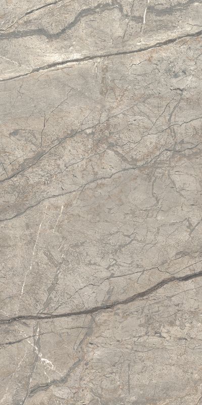 Купить Caesar Anima Futura Amazing Silver Luc 60x120 