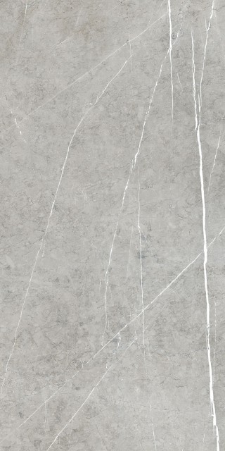 Купить Cicogres Borgo Gris Lap Ret 60x120 