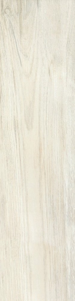 Купить Del Conca Fi Foreste D'italia Bianco Fi10 20х80 