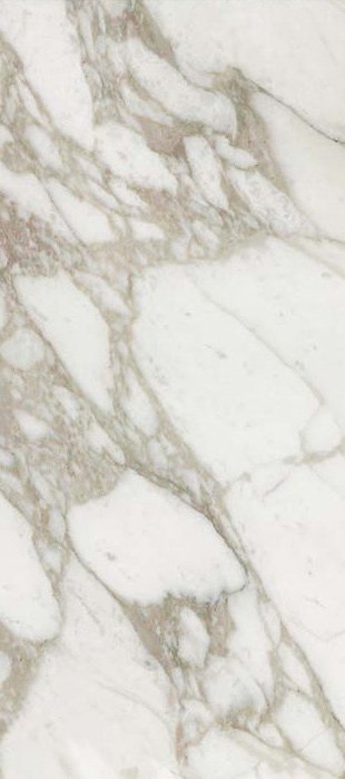 Купить Rex Ceramiche I Bianchi di Rex Calacatta Luc Ret 80x180 