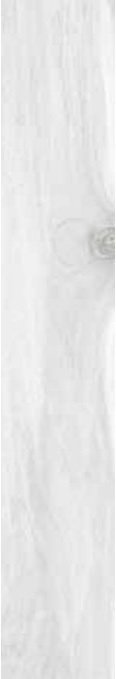 Купить Ecoceramic Tasmania Frost Mate 20х120 