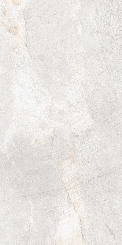 Купить Tau Mainstone Silver 60x120 