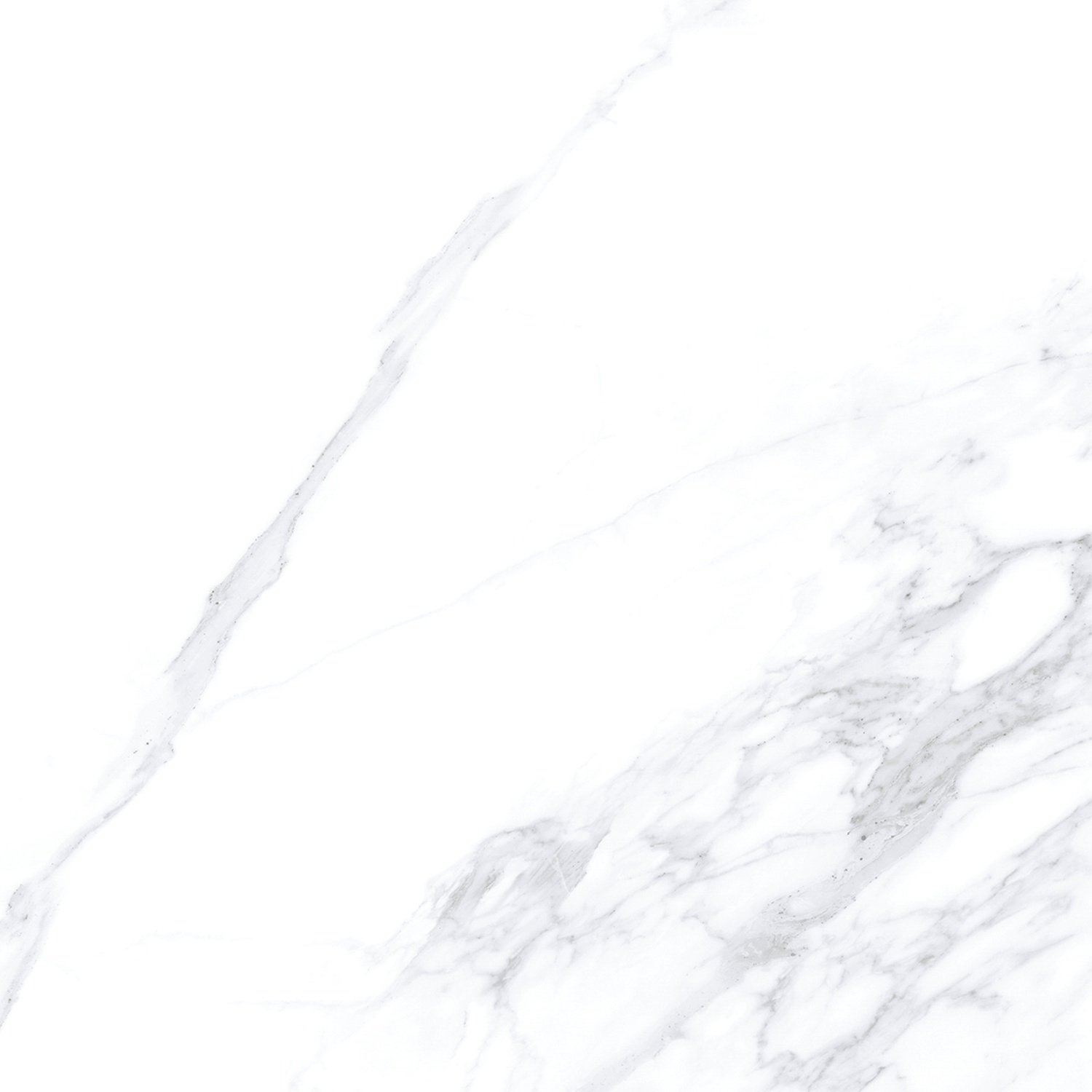 Купить Museum Calacatta Extra White P 100x100 