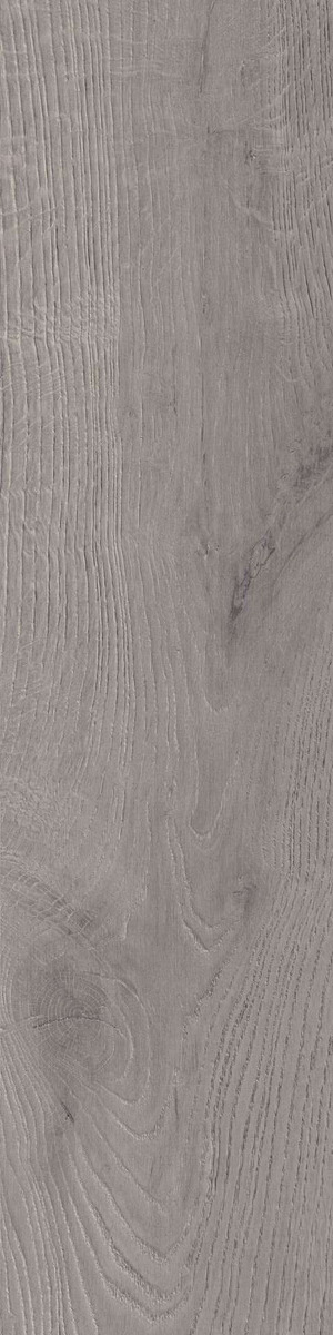 Купить Cifre Ceramica Rovere Pearl 22,5x90 