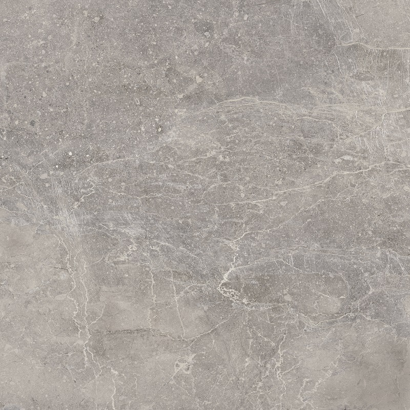 Купить Porcelanosa Noir Topo 120x120 