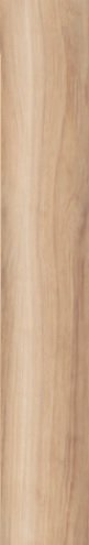 Купить Sant' Agostino Finewood Honey 20х120 